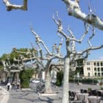 gardasee bild 035