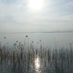 gardasee bild 041