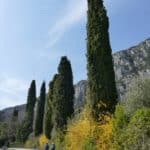 gardasee bild 046