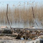 gardasee bild 054