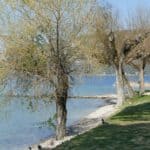 gardasee bild 056
