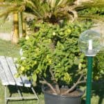 gardasee bild 057