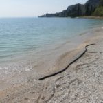 gardasee bild 065