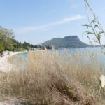Gardasee