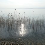gardasee bild 073