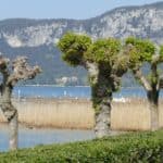 gardasee bild 076