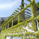 gardasee bild 082