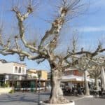 gardasee bild 096