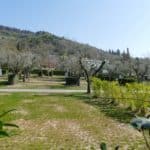 gardasee bild 100