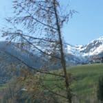 gardasee bild 111