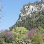 gardasee bild 112