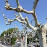 gardasee bild 137