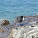 gardasee bild 142