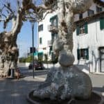 gardasee bild 143
