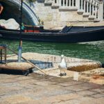 Gardasee 2026 227