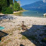 Gardasee 2026 305