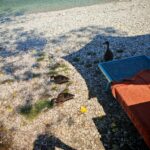 Gardasee 2026 311