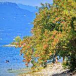 Gardasee 2026 314