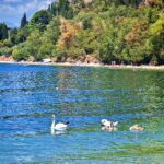 Gardasee 2026 315