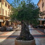 Gardasee 2026 337