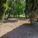 Gardasee 2026 348
