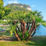 Gardasee 2026 66