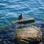 Gardasee 2026 74